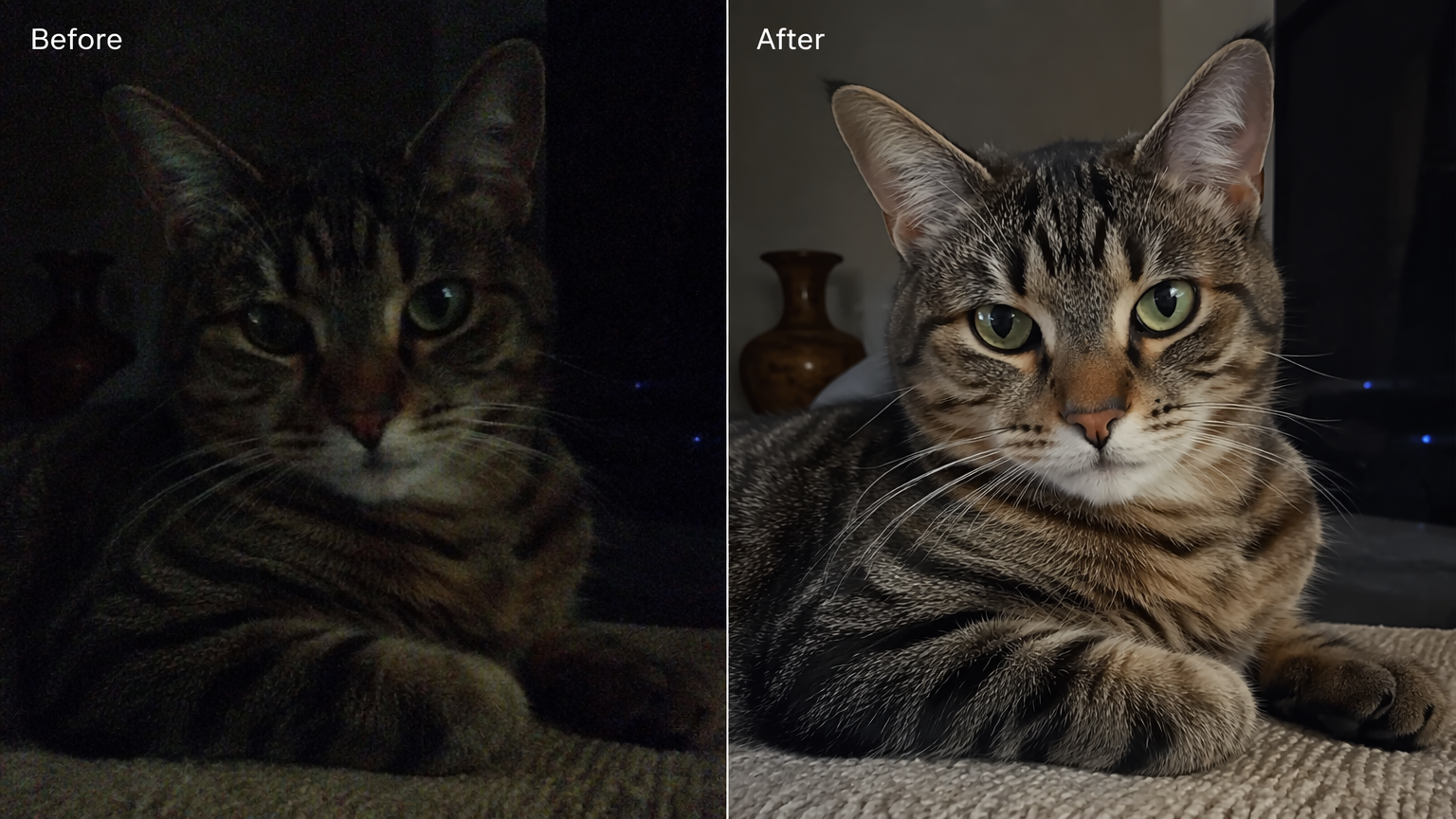 Before and after of the same original low-light cat photo, grainy versus clean