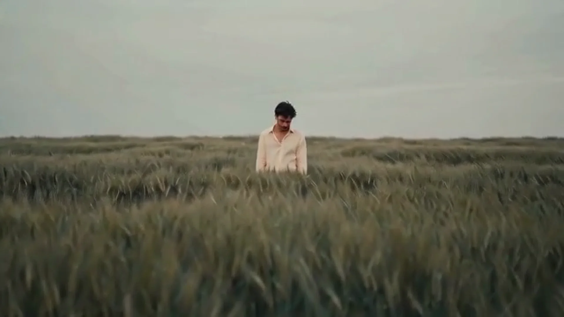 A 640×360 source frame enlarged to 1080p without upscaling — the wheat and the shirt look mushy
